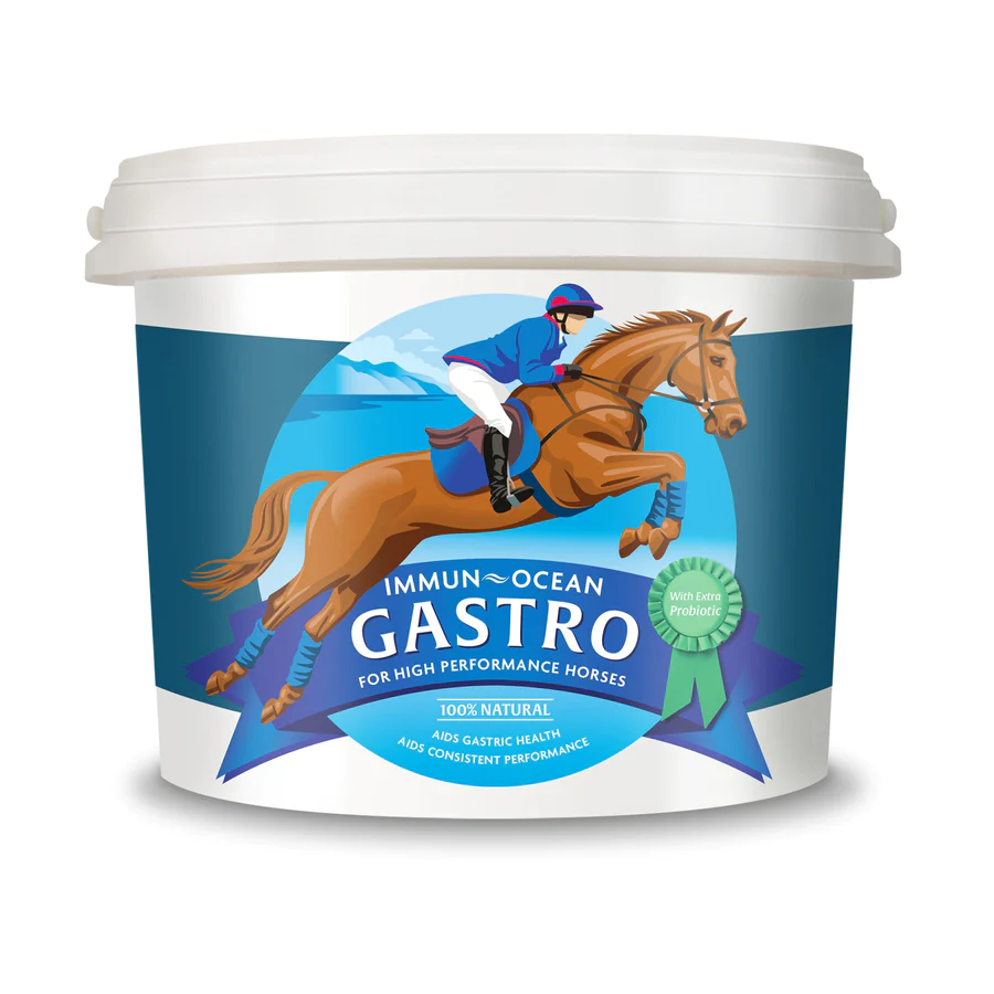 Immun-Ocean GASTRO PLUS PROBIOTIC Equine Ergänzungsfuttermittel für Turnierpferde